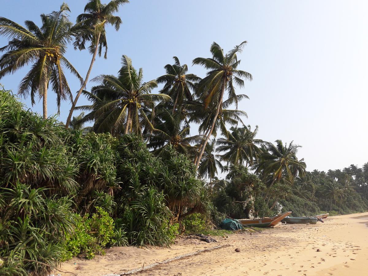 Leatherback Beach Villa Ahungalla Exterior foto